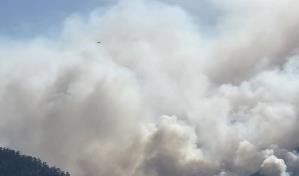 Cierran temporalmente el Parque Nacional Armando Bermúdez por incendio forestal