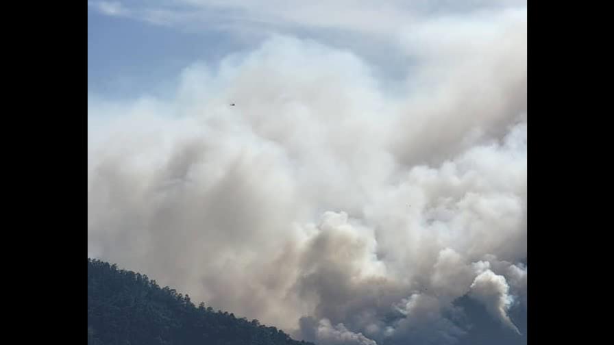 Cierran temporalmente el Parque Nacional Armando Bermúdez por incendio forestal Cierran temporalmente el Parque Nacional Armando Bermúdez por incendio forestal