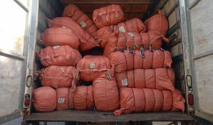 Incautan más de 70 mil artículos escolares falsificados en el Gran Santo Domingo