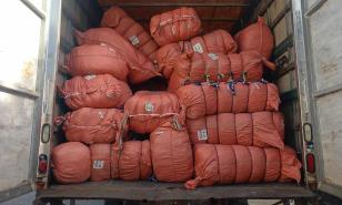 Incautan más de 70 mil artículos escolares falsificados en el Gran Santo Domingo