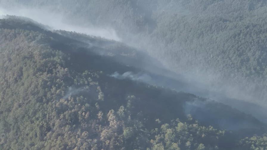 Medio Ambiente: fuego en el parque Armando Bermúdez está "totalmente controlado"