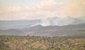 Incendio en Armando Bermúdez: si no llegan helicópteros con agua o que llueva fuerte, está difícil