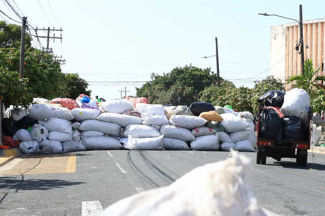 Parte de la recolección en sacos. 