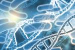 Estudio suizo detecta cáncer colorrectal mediante bacterias presentes en el intestino