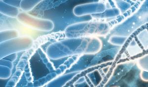 Estudio suizo detecta cáncer colorrectal mediante bacterias presentes en el intestino