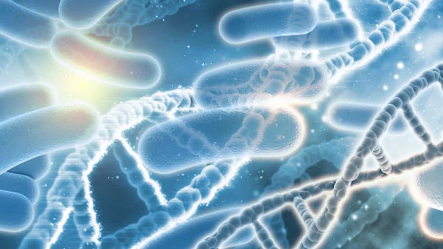 Estudio suizo detecta cáncer colorrectal mediante bacterias presentes en el intestino Estudio suizo detecta cáncer colorrectal mediante bacterias presentes en el intestino