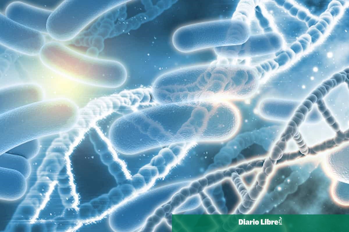 Se detecta cáncer colorrectal mediante bacterias en el intestino