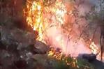 El humo de incendios forestales, un riesgo invisible para la salud