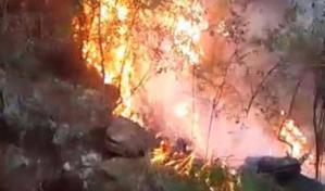 El humo de incendios forestales, un riesgo invisible para la salud