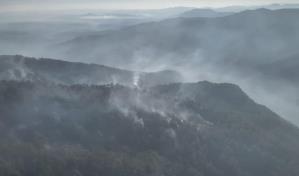 Liquidan incendio forestal en Parque Nacional Armando Bermúdez