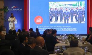 Faride Raful llama al sector empresarial a ser aliado estratégico en la seguridad ciudadana