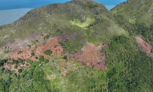 Áreas protegidas presentan “bajo grado” de  presión humana, según informe de la ONE