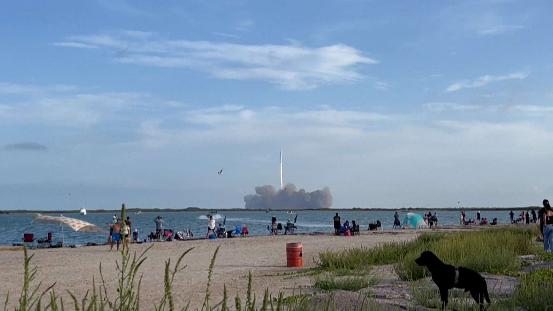 SpaceX disipa dudas sobre su megacohete Starship con un exitoso vuelo de prueba