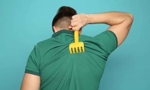 ¿Por qué nos pica sin razón y por qué rascarse nos alivia?