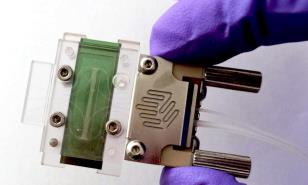 Minibiosensores para detectar el cáncer en minutos y a partir de una sola gota de muestra