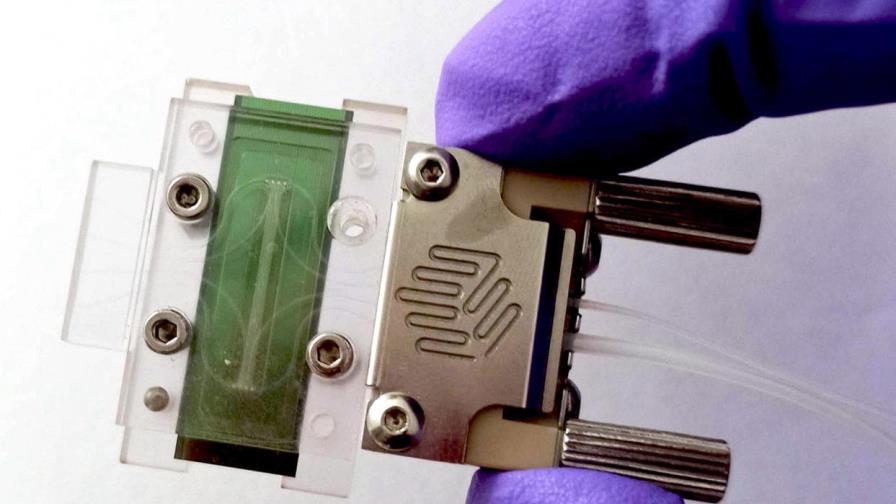 Minibiosensores para detectar el cáncer en minutos y a partir de una sola gota de muestra Minibiosensores para detectar el cáncer en minutos y a partir de una sola gota de muestra