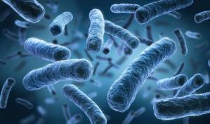 Nueva York da por terminado el brote de legionela que dejó siete muertos en tres semanas