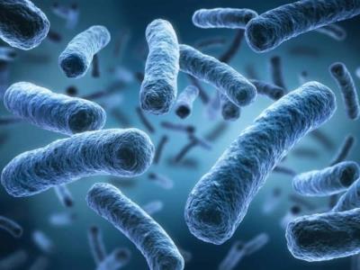 Enfermedad del legionario: NY da por terminado brote que dejó muertos