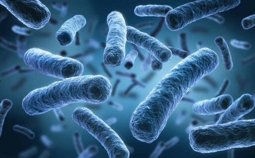 Casos de legionelosis disminuyen en Nueva York, pero autoridades a&uacute;n buscan el origen del brote