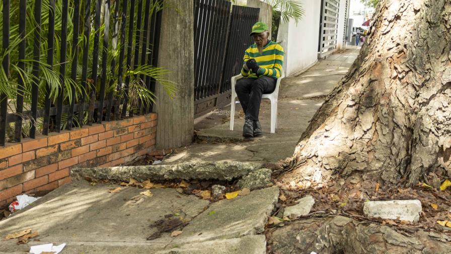 Raíces de árbol dañan acera en La Julia y ponen en riesgo a peatones Raíces de árbol dañan acera en La Julia y ponen en riesgo a peatones