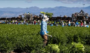 Inmigrantes tienen poco que celebrar el Día del Trabajo en EE. UU. debido a las redadas