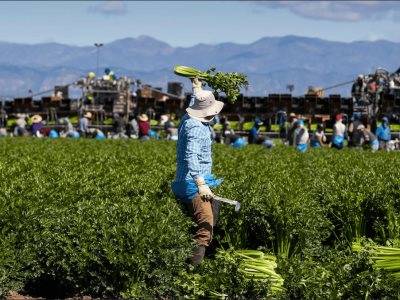 Inmigrantes tienen poco que celebrar el Día del Trabajo en EE. UU.
