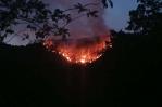 Incendio forestal afecta área de la Cordillera Central