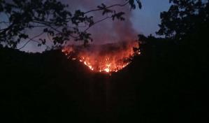 Incendio forestal afecta área de la Cordillera Central