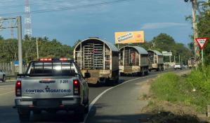 República Dominicana ha deportado a 250,741 haitianos en lo que va del 2025