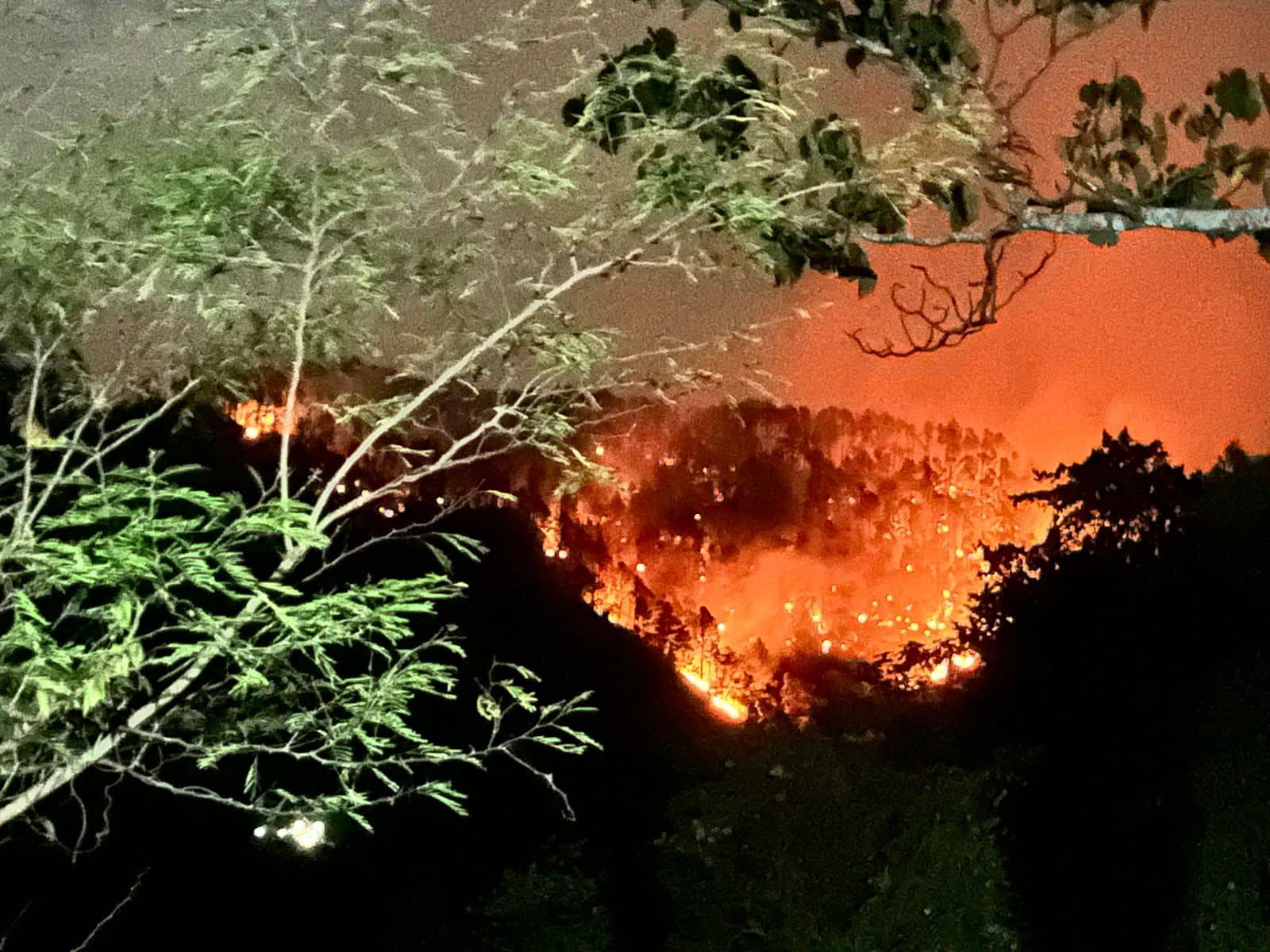 Fuego afecta área boscosa de la Cordillera Central. 