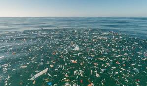 Un mapa global muestra dónde el plástico amenaza más los mares