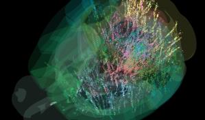 El cerebro actúa como un todo en la toma de decisiones y las expectativas previas influyen