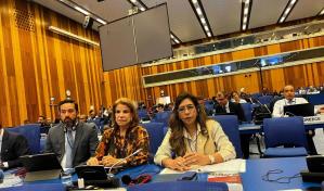 República Dominicana buscará recuperar su patrimonio público oculto en el extranjero