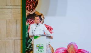 Certificarán la denominación de origen del aguacate Oro Verde de Cambita