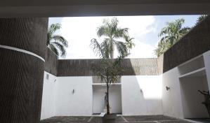 ¿Escultura o naturaleza? El premio de escultura en la Bienal 2025 abre un intenso debate