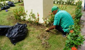 Siembran plantas y limpian el Centro UASD-Monte Plata