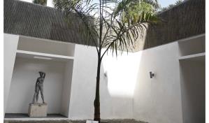 Artistas visuales solicitan anulación de premio en la Bienal Nacional por incumplimiento de reglas