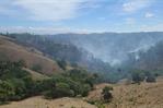 Reportan el control de incendio forestal en J&aacute;nico; contin&uacute;an labores de liquidaci&oacute;n
