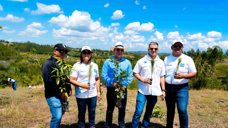 Colaboradores de Grupo Popular realizan jornada de reforestación en Plan Sierra
