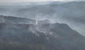 Descargas eléctricas han causado recientes incendios forestales