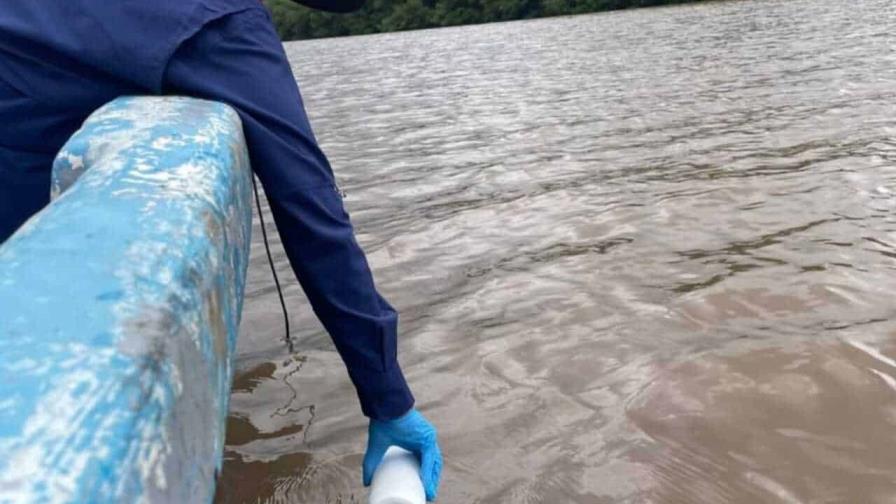 Investigan mortandad de peces en el r&iacute;o Soco de San Pedro de Macor&iacute;s