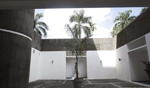 El Ministerio de Cultura anula premio a obra "La Palmita" en Bienal Nacional de Artes Visuales 2025