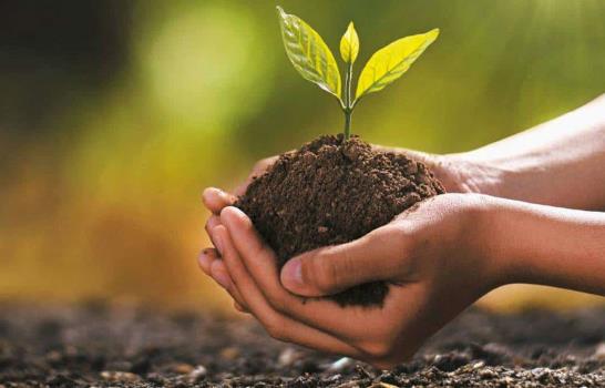 Innovación climática: el camino urgente hacia soluciones transformadoras