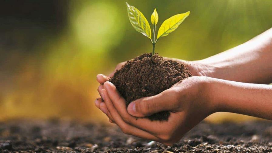 Innovaci&oacute;n clim&aacute;tica: el camino urgente hacia soluciones transformadoras