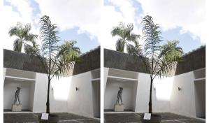 Jurados de la Bienal de Artes Visuales respaldan obra "Lo que no se saca de raíz, vuelve a crecer