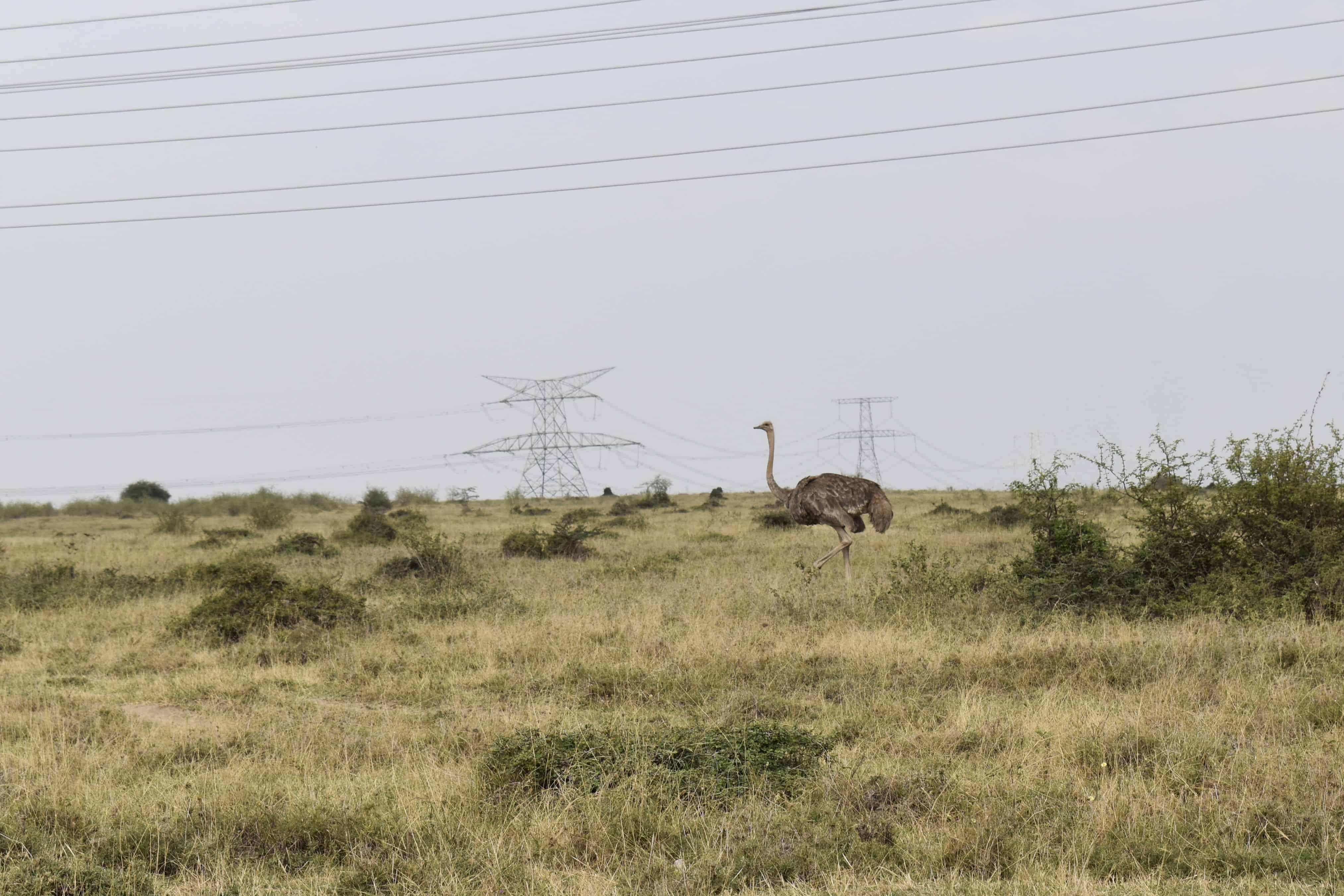 Cakequeenmami OnlyFans photos