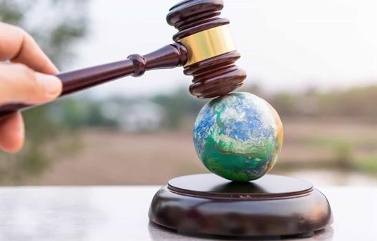 El lado oscuro del ambientalismo jurídico: ¿Defensa legítima o negocio encubierto?