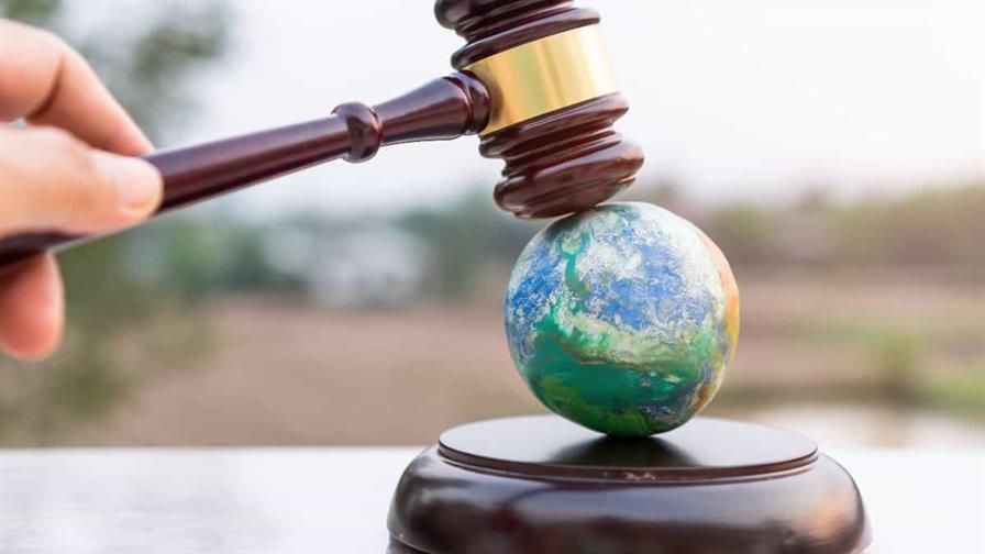 El lado oscuro del ambientalismo jurídico: ¿Defensa legítima o negocio encubierto? El lado oscuro del ambientalismo jurídico: ¿Defensa legítima o negocio encubierto?