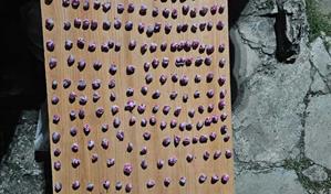 Policía Nacional desmantela puntos de drogas en Hato Mayor durante operativos