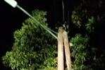 Hay 38 mil clientes sin energía eléctrica en el Cibao por averías tras fuertes vientos